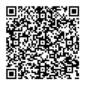 曾几何时他们会如此堤防一个人曾经的他们哪一个不是叱咤风云的巅峰人物横贯虚空作用万里河山的超级大能二维码生成
