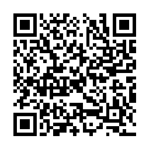 曾在叙利亚和撒旦并肩作战过的十几个人算是精锐二维码生成