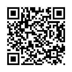 曾大人不妨给他们一个证明自身的机会二维码生成