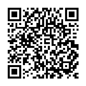 曾小美才从沉思中回过了神来脸上露出了一丝好奇八卦的神情二维码生成