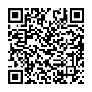 曾小美神情显得极为沉重的坐在会议室的主席位上二维码生成