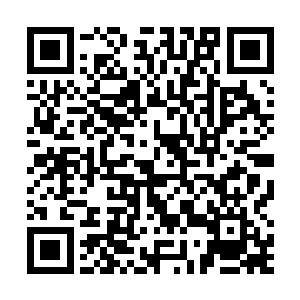 曾小美连忙把之前那些乱ˉ七八糟的念头全部的甩出了脑后二维码生成