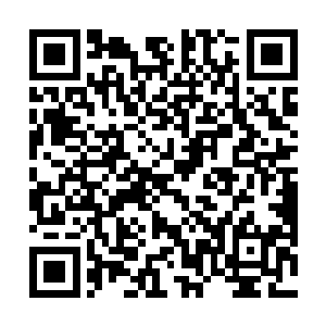 曾毅不可能无缘无故的把他戴珊的人全都给弄进都察院二维码生成