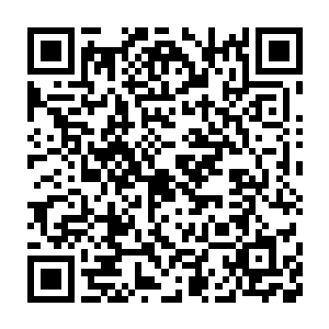 曾毅不曾取消锦衣卫对所有文武百官的监控或许还不会出这档子事二维码生成