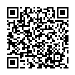 曾毅也算是明白河南布政司的那帮子人为何要闭门思过了二维码生成