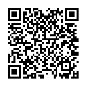 曾毅似笑非笑的看着躬身站在自己跟前的知府蔡玄二维码生成