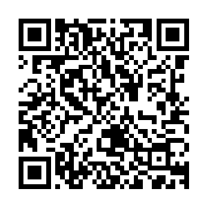曾毅却也不是见了锦衣卫就真的害怕的什么都不知道的那种官员二维码生成