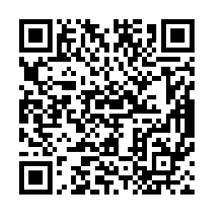 曾毅可以说是大明朝的官员当中最为不害怕锦衣卫的官员了二维码生成