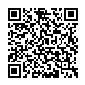 曾毅根本就不担心马文升会夺取自己手中的权利二维码生成