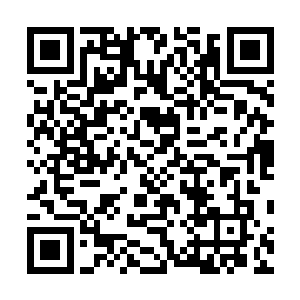 曾经三番四次想要夺舍他身躯的鸿蒙第一魔器――盘古幡二维码生成