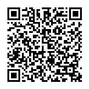 曾经做过大宋三司使下度支副使的余靖也没有一次性的见到这样多的财富二维码生成