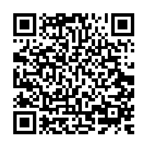 曾经因为成绩优秀参加过一个神秘的医学团队――叫什么魂的二维码生成