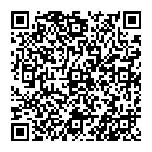 曾经在冀冬阳之前就派遣到那个农家小院去跟爱娃一伙人接触的外勤人员立刻马不停蹄的前往二维码生成