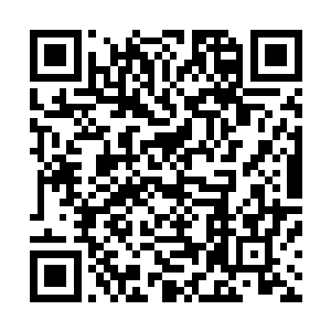 曾经在苍穹天宇之中就出现过九品玄脉化形而出的绝世强者二维码生成