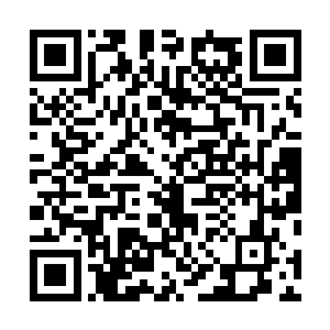 曾经在这一隅之地任职的干部慢慢进入中央各个权能机关二维码生成