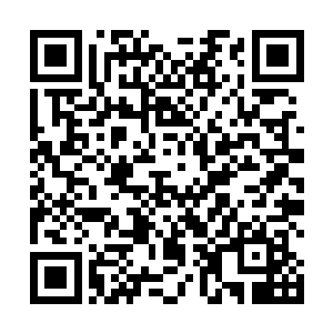 曾经就有武者在寂虚岭外围千里内找到一片帝级灵草园二维码生成