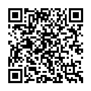 曾经我们二人的确做出了一些让王者不满的事情二维码生成