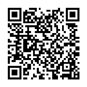 曾经把宝器拳中蕴藏的宝器峰炼器术给领悟了出来二维码生成