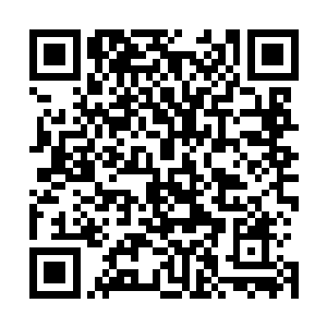 曾经教会了雷欢喜这个对斗蟹其实一窍不通的家伙不少知识二维码生成