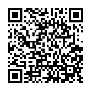 曾经最平常不过的面食此时争先恐后的往凌菲的脑海里跳二维码生成