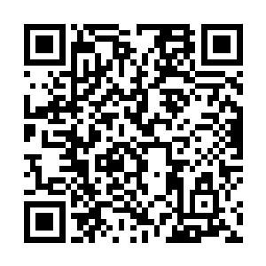曾经有一只特立独行的棂想要走出孤岛看看外面的世界二维码生成