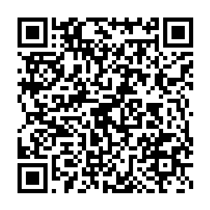 曾经有好几次他都让我帮他去一些私下拍卖野生鸟类的场所给他买鸟二维码生成