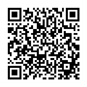 曾经来劝说过或者奚落过梓箐那种做法不对的小神开始疑惑了二维码生成
