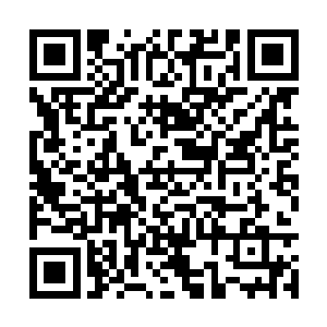 曾经爆出因为试镜迟到而将雨果剔除出卡司名单的二维码生成