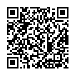 曾经独自一人消灭掉一头闯入领地中的变异石牙野猪二维码生成