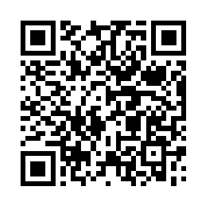 曾经的不毛之地如今已长出了青翠绿草二维码生成