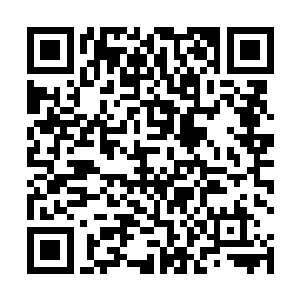 曾经的仅次于唐劫的天才蔡君扬如今已被挤到了第三位二维码生成
