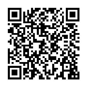 曾经的闪灵战士们大多数人已经成为了四级或者五级的战士二维码生成