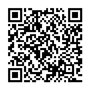 曾经给予她教导陪伴她修炼和成长的师门在一夜之间变成废墟二维码生成