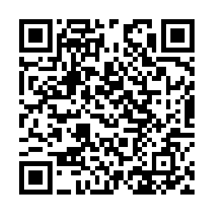 曾经自己也是从一个默默无闻的小炮灰一步步攀登而来二维码生成