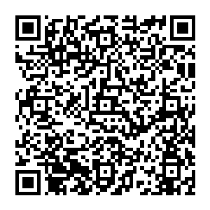 曾经被誉为拥有成为S级超级英雄潜力的年轻人一夜之间失去所有天赋和前程的打击究竟是多么恐怖二维码生成