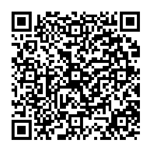 曾经见识过弓箭威力的飞龙部落的人看着外面严正以待的一排排箭头连打的想法都没有二维码生成