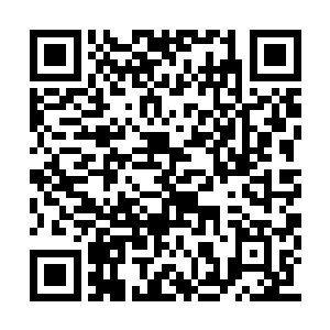 曾经让他们苦苦追寻的一切显得都那样的无意义二维码生成