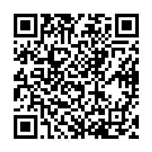 曾经许诺的来自全国各地的软件企业进入仍然遥遥无期二维码生成