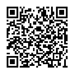 曾经跟这个朗四还有他手下的小弟打过一些交道二维码生成