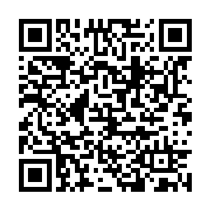 曾被本域天仙集群击破横扫留下的那些孤立法则区二维码生成