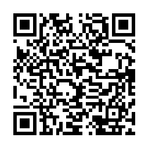 替换的是金球奖上剧情类最佳男主角提名名单之中的布拉德二维码生成