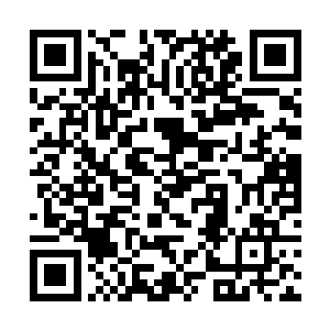替补出场的高林在禁区里被西班牙人的球员拉倒在地二维码生成