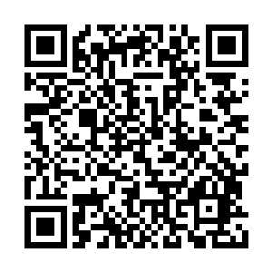 最不放心的便是你的师娘们还有你的师弟夏仲回二维码生成