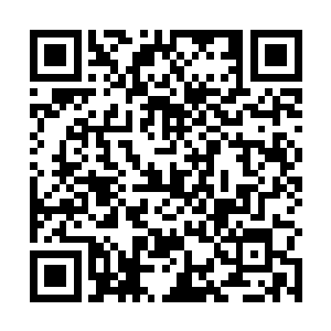 最为危险的时候也只不过是几次野外实验所遇到的意外二维码生成