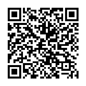最为最后一个进入九重塔的何飞燕此刻也出现在所有人面前二维码生成