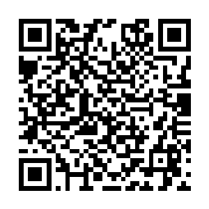 最主要原因就是因为雨果身上这套西装的破格设计二维码生成