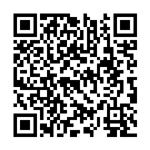 最主要是大儒笑眯眯让士子们猜测那陪祭画像之中二维码生成