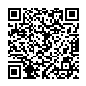 最主要的原因便是在赤金石里蕴含了精纯的金之法则二维码生成