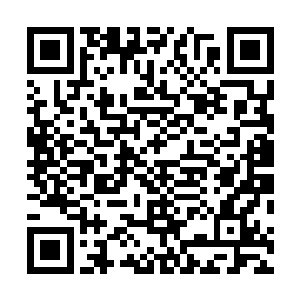 最主要的时这个山谷中天地灵气比一般的地方也浓郁不少二维码生成