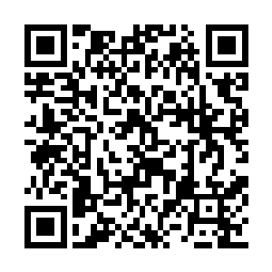 最主要的是孙子轩对于仙界的仙草根本就认不全二维码生成